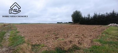 Wierzchowiska Pierwsze| 16 arów
