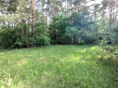2950 m2 - Dąbrówka - piękna zielona okolica.
