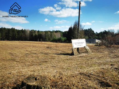23 ary przy drodze asfaltowej. Głusko Duże-Kolonia