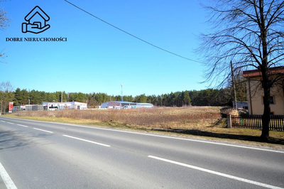 23 ary przy drodze asfaltowej. Głusko Duże-Kolonia - 5