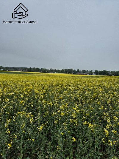 Działka budowlana 1534 m2 - Żabia Wola - 3