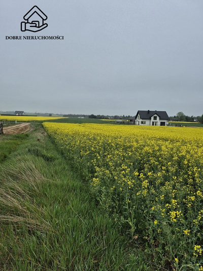 Działka budowlana 1534 m2 - Żabia Wola - 2