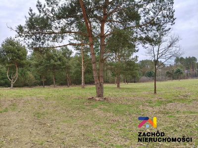 Prezentujemy Państwu kompleks 12 działek budowlanych w gm.Świdnica, zaledwie 12km od Zielonej Góry. Idealne miejsce dla osób ceniącychspokój i ciszę.