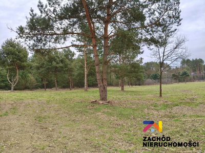 Prezentujemy Państwu kompleks 12 działek budowlanych w gm.Świdnica, zaledwie 12km od Zielonej Góry. Idealne miejsce dla osób ceniących spokój i ciszę.
