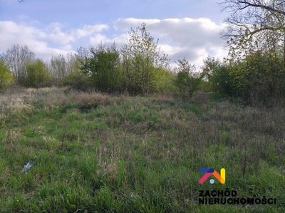Poznaj wyjątkową ofertę inwestycyjną - atrakcyjna działka położona w samym sercu Lubska, przy głównej drodze wojewódzkiej 287. To doskonała lokalizacja na rozwój Twojego projektu, usytuowana na teren…
