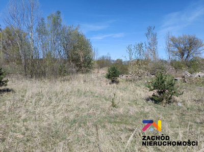 Przedstawiamy Państwu atrakcyjną ofertę działki budowlanej położonej w malowniczej miejscowości Zabór, zaledwie 17 km od Zielonej Góry.
