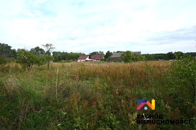 Oferujemy Państwu do sprzedaży dom wolnostojący o pow. 106m2 wraz z budynkami gospodarczymi (łączna pow. budynków gospodarczych:168m2). - 2