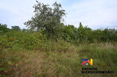 Oferujemy Państwu do sprzedaży dom wolnostojący o pow. 106m2 wraz z budynkami gospodarczymi (łączna pow. budynków gospodarczych:168m2). - 5
