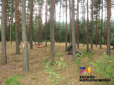 Oferujemy Państwu na sprzedaż posiadłość o charakterze agroturystycznym. - 4