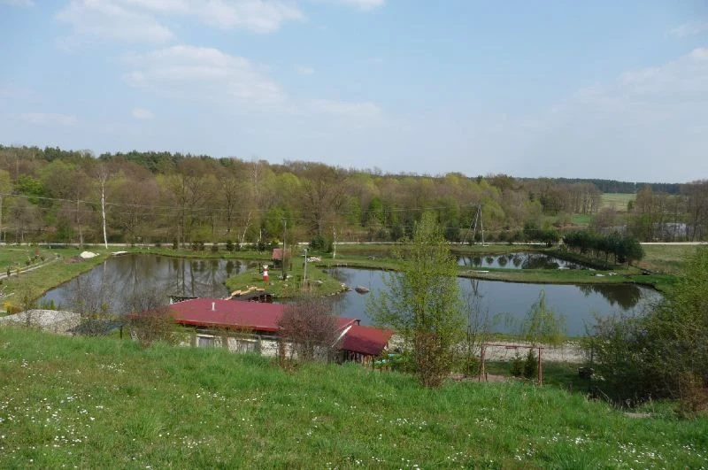 Przedstawiamy Państwu do sprzedaży unikatową działkę z dwoma stawami usytuowaną w gminie Bobrowice na skraju wsi. - 54090227-1l.jpg