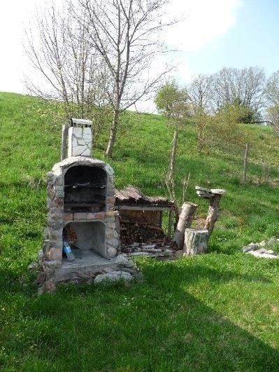 Przedstawiamy Państwu do sprzedaży unikatową działkę z dwoma stawami usytuowaną w gminie Bobrowice na skraju wsi. - 3