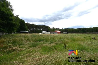 Oferujemy na sprzedaż wyjątkową nieruchomość przemysłową, usytuowaną na rozległej działce o powierzchni 2,32 ha, zlokalizowaną w spokojnej i atrakcyjnej dzielnicy Zielonej Góry. To doskonała okazja d…