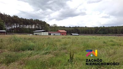 Oferujemy na sprzedaż wyjątkową nieruchomość przemysłową, usytuowaną na rozległej działce o powierzchni 2,32 ha, zlokalizowaną w spokojnej i atrakcyjnej dzielnicy Zielonej Góry. To doskonała okazja d… - 5