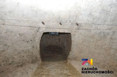 Prezentujemy na sprzedaż ruiny Starego Browaru (później śledziarni) o pow. około 800m2, znajdującego się bezpośrednio w Parku w centrum Żar. - 5