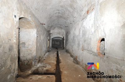 Prezentujemy na sprzedaż ruiny Starego Browaru (później śledziarni) o pow. około 800m2, znajdującego się bezpośrednio w Parku w centrum Żar. - 2
