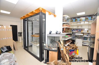 LOKAL UŻYTKOWY DO WYNAJĘCIA W DZIELNICY JĘDRZYCHÓW O POWIERZCHNI 68,40MKW. - 5