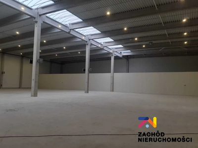 Do wynajęcia część budynku- hala magazynowa o powierzchni 2767 m2 plus możliwa część biurowa o łącznej powierzchni 335 m2 (po 167,5 m2 na dwóch kondygnacjach parter i piętro). Obiekt murowany przyleg… - 3