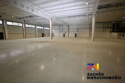 Do wynajęcia część budynku- hala magazynowa o powierzchni 1262 m2 plus część biurowa i socjalna o łącznej powierzchni 82 m2. - 4