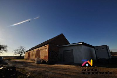 Do wynajęcia hala magazynowa o łącznej powierzchni 390 m2 usytuowana na działce o powierzchni 700 m2, zlokalizowana w miejscowości Brzeźnica w okolicach Żagania. - 2