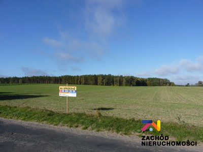 NOWA CENA!! Działka rolna z potencjałem(1km w linii prostej od jeziora Niesłysz )