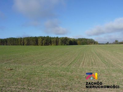 NOWA CENA!! Działka rolna z potencjałem(1km w linii prostej od jeziora Niesłysz ) - 4