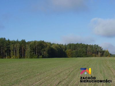 NOWA CENA!! Działka rolna z potencjałem(1km w linii prostej od jeziora Niesłysz ) - 3