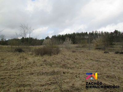 Na sprzedaż duża działka o powierzchni ok. 4000 m2 usytuowana w miejscowości Górzykowo koło Sulechowa- powiat zielonogórski. Działka o nierównomiernym kształcie- pięciokąt.