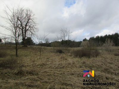 Na sprzedaż duża działka o powierzchni ok. 4000 m2 usytuowana w miejscowości Górzykowo koło Sulechowa- powiat zielonogórski. Działka o nierównomiernym kształcie- pięciokąt. - 5