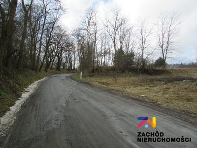 Na sprzedaż duża działka o powierzchni ok. 4000 m2 usytuowana w miejscowości Górzykowo koło Sulechowa- powiat zielonogórski. Działka o nierównomiernym kształcie- pięciokąt. - 3