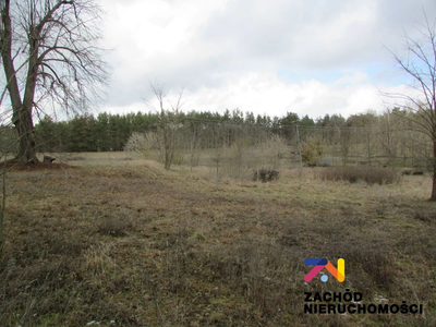 Na sprzedaż duża działka o powierzchni ok. 4000 m2 usytuowana w miejscowości Górzykowo koło Sulechowa- powiat zielonogórski. Działka o nierównomiernym kształcie- pięciokąt. - 2