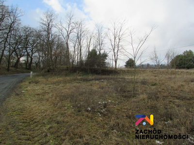 Na sprzedaż duża działka o powierzchni ok. 4000 m2 usytuowana w miejscowości Górzykowo koło Sulechowa- powiat zielonogórski. Działka o nierównomiernym kształcie- pięciokąt. - 4