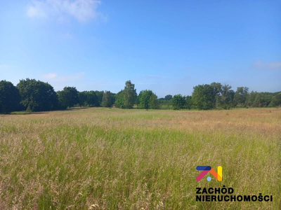 Oferujemy na sprzedaż atrakcyjnie położone działki w miejscowości Droszków (gmina Zabór). - 2