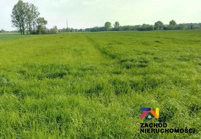 Oferujemy Państwu kompleks działek budowlanych zlokalizowanych w malowniczej miejscowości Przytok, który jest oddalony od Zielonej Góry 12 km.