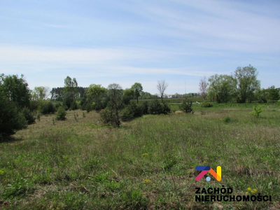 Na sprzedaż działka o powierzchni 1400 m2 usytuowana przy głównej drodze przelotowej - Nowe Miasteczko- Polkowice, 5 km do zjazdu na S3. - 3
