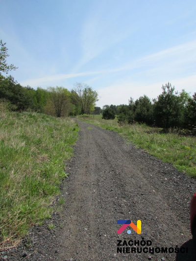 Na sprzedaż działka o powierzchni 1400 m2 usytuowana przy głównej drodze przelotowej - Nowe Miasteczko- Polkowice, 5 km do zjazdu na S3. - 5