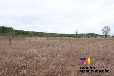 Na sprzedaż działka rolna o powierzchni 10 000 m2 usytuowana w miejscowości Dąbrowa na terenie Gminy Zabór. Działka w kształcie prostokąta zlokalizowana bezpośrednio przy drodze asfaltowej.