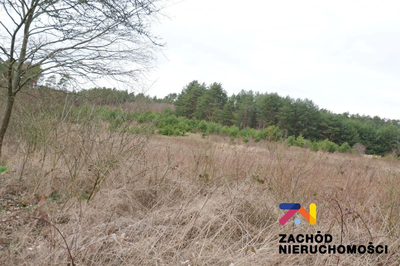 Na sprzedaż działka rolna o powierzchni 10 000 m2 usytuowana w miejscowości Dąbrowa na terenie Gminy Zabór. Działka w kształcie prostokąta zlokalizowana bezpośrednio przy drodze asfaltowej. - 4