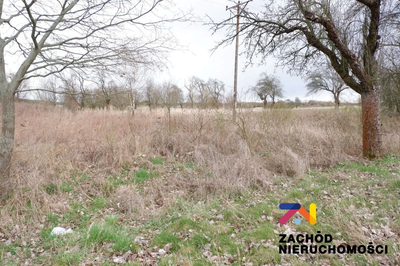 Na sprzedaż działka rolna o powierzchni 10 000 m2 usytuowana w miejscowości Dąbrowa na terenie Gminy Zabór. Działka w kształcie prostokąta zlokalizowana bezpośrednio przy drodze asfaltowej. - 2