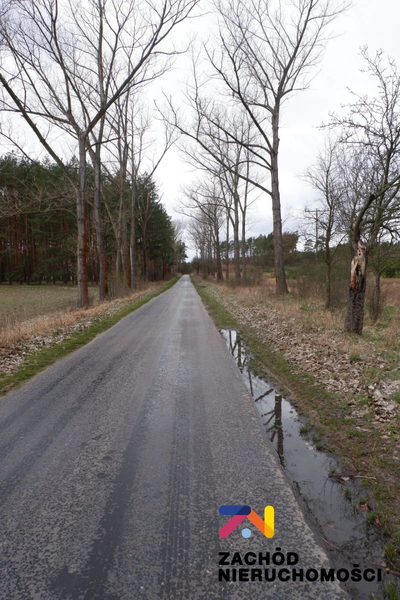 Na sprzedaż działka rolna o powierzchni 10 000 m2 usytuowana w miejscowości Dąbrowa na terenie Gminy Zabór. Działka w kształcie prostokąta zlokalizowana bezpośrednio przy drodze asfaltowej. - 3
