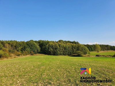 Na sprzedaż działka budowlana o pow. 1565 m2 usytuowana w kompleksie 10 działek zlokalizowanych w miejscowości Drągowina koło Nowogrodu Bobrzańskiego.