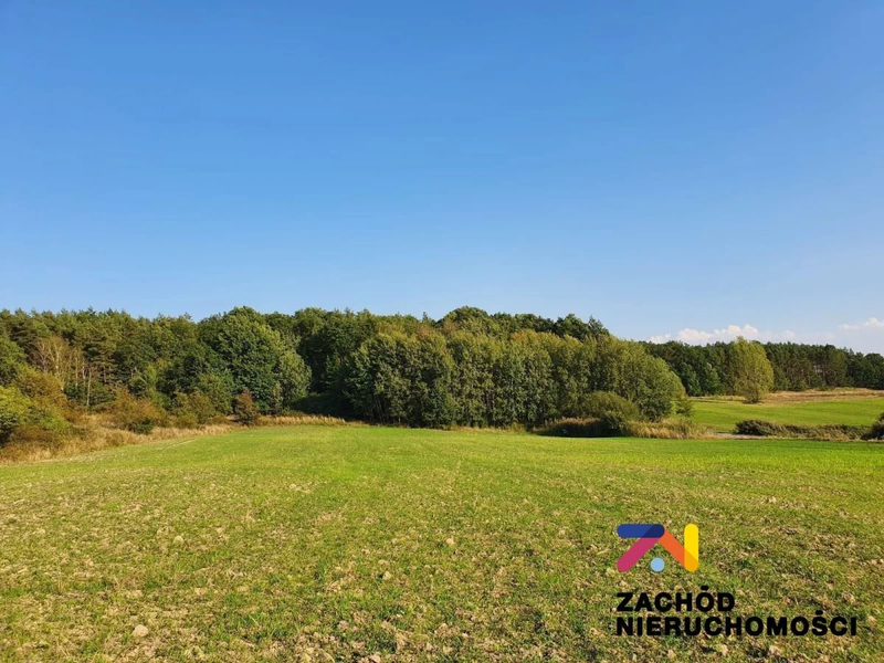 Na sprzedaż działka budowlana o pow. 1565 m2 usytuowana w kompleksie 10 działek zlokalizowanych w miejscowości Drągowina koło Nowogrodu Bobrzańskiego. - 136890227-1l.jpg
