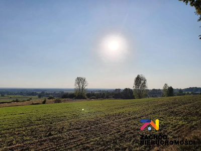 Na sprzedaż działka budowlana o pow. 1565 m2 usytuowana w kompleksie 10 działek zlokalizowanych w miejscowości Drągowina koło Nowogrodu Bobrzańskiego. - 4