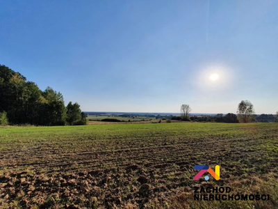 Na sprzedaż działka budowlana o pow. 1565 m2 usytuowana w kompleksie 10 działek zlokalizowanych w miejscowości Drągowina koło Nowogrodu Bobrzańskiego. - 3