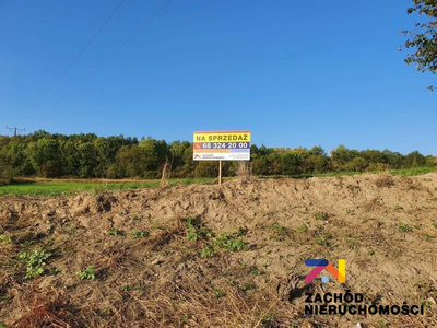 Na sprzedaż działka budowlana o pow. 1565 m2 usytuowana w kompleksie 10 działek zlokalizowanych w miejscowości Drągowina koło Nowogrodu Bobrzańskiego. - 2