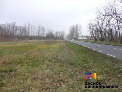 OFERUJEMY PAŃSTWU NA SPRZEDAŻ DZIAŁKĘ BUDOWLANĄ USYTUOWANĄ W KROŚNIE ODRZAŃSKIM (OBRĘB NOWY ZAGÓR). - 2