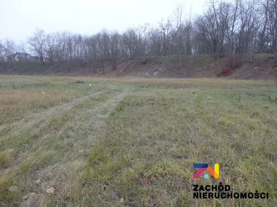 OFERUJEMY PAŃSTWU NA SPRZEDAŻ DZIAŁKĘ BUDOWLANĄ USYTUOWANĄ W KROŚNIE ODRZAŃSKIM (OBRĘB NOWY ZAGÓR). - 3