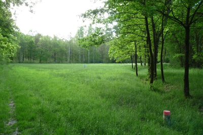 Oferujemy działkę rolną o powierzchni 4500m2.