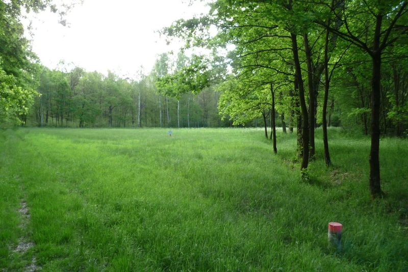 Oferujemy działkę rolną o powierzchni 4500m2. - 67790227-1l.jpg