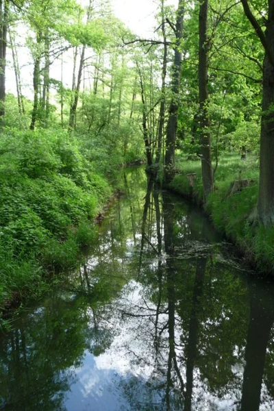 Oferujemy działkę rolną o powierzchni 4500m2. - 2
