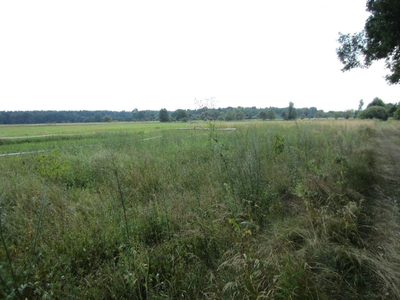 Oferujemy Państwu działkę leśną o powierzchni 13000m2 zlokalizowaną w Kiełpinie.